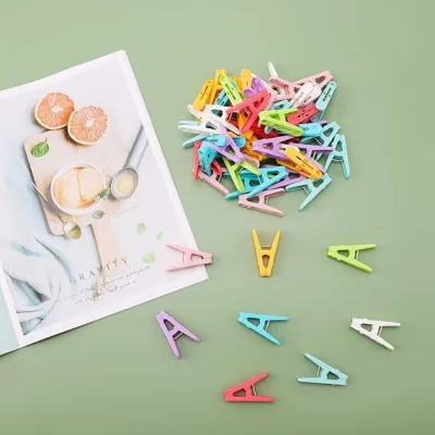 Cloth Clip Large (50 pcs)
